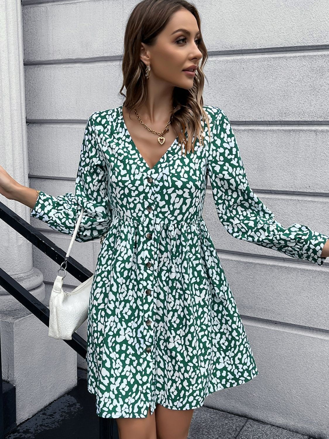 Ivy Lane Animal Print Buttoned V-Neck Long Sleeve Dress